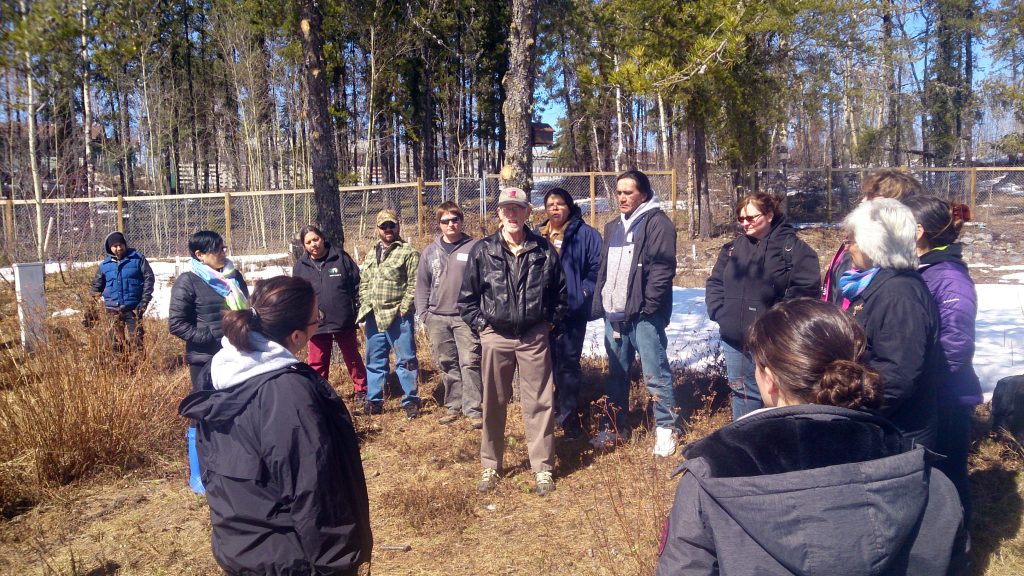 Participants visit the Churchill Nursery, a four acre site that is a reclaimed trailer park. The discussion there centred around how to cover crops for season extension, how to develop and nurture northern soils for food production, and which trees, plants and berries do well in the northern boreal forest.