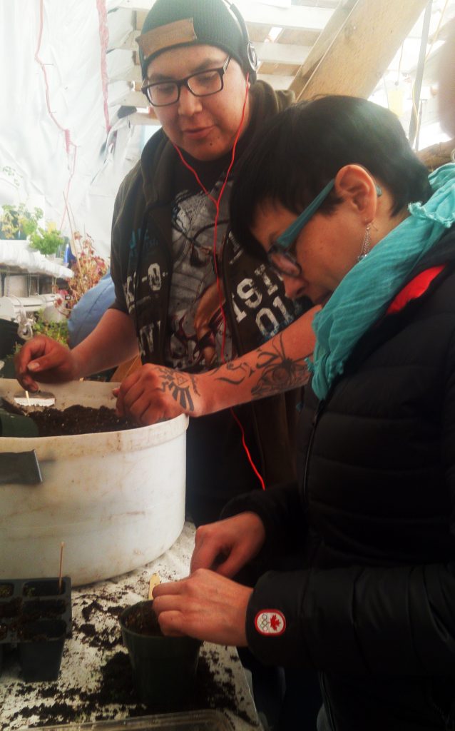 Ervin Bighetty of Leaf Rapids teaches Wendy McNab Fontaine how to transplant young seedlings.