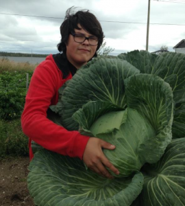 Malcolm, a youth garden participant, and his monster northern cabbage.