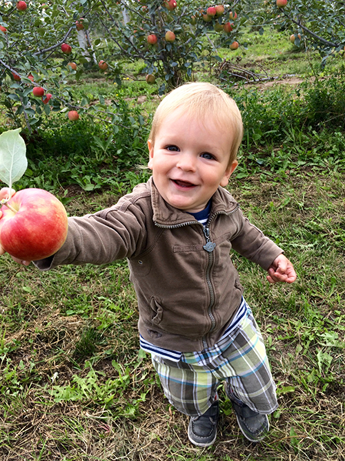 Otis is eating an organic apple that he picked on a farm in the Ottawa Valley. Photo: Heather Harding.