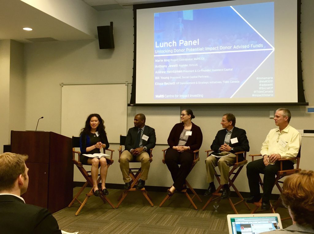 The Unlocking Donor Potential: Impact Donor Advised Funds panel