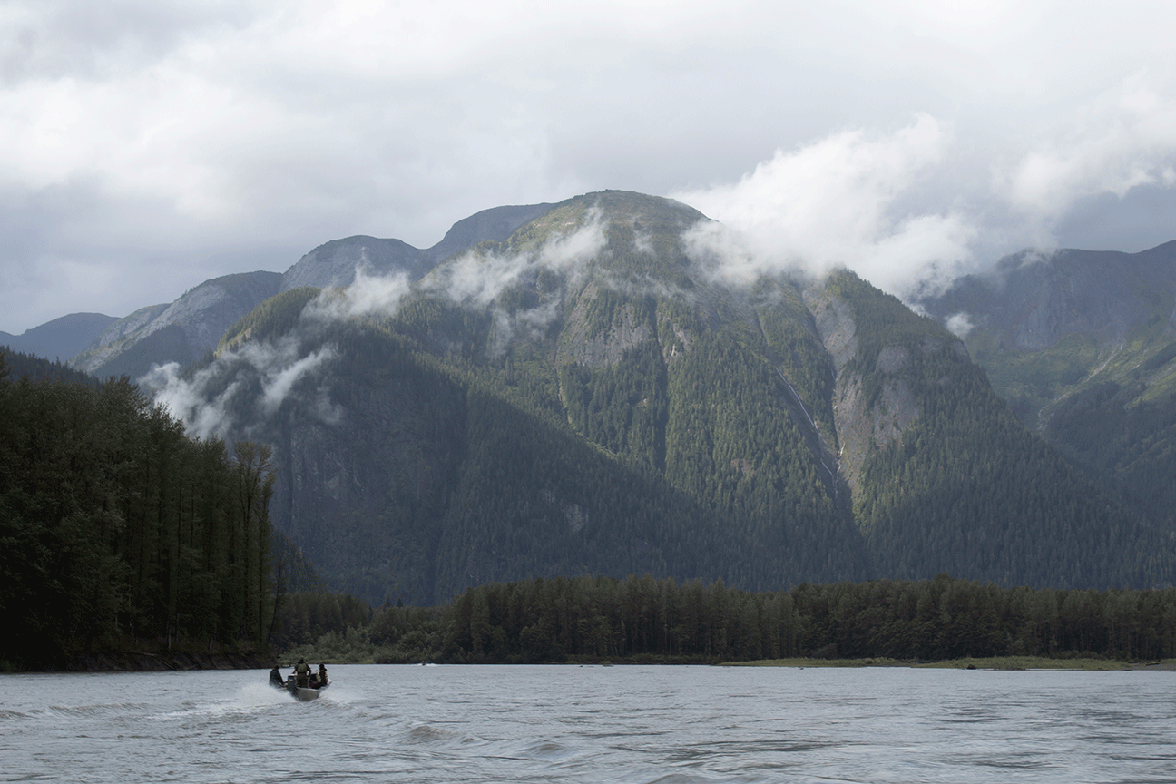 The mighty Skeena River. Communities in the region have reported historically low salmon returns in recent years.
