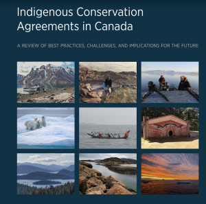 The cover page of the Conservation report