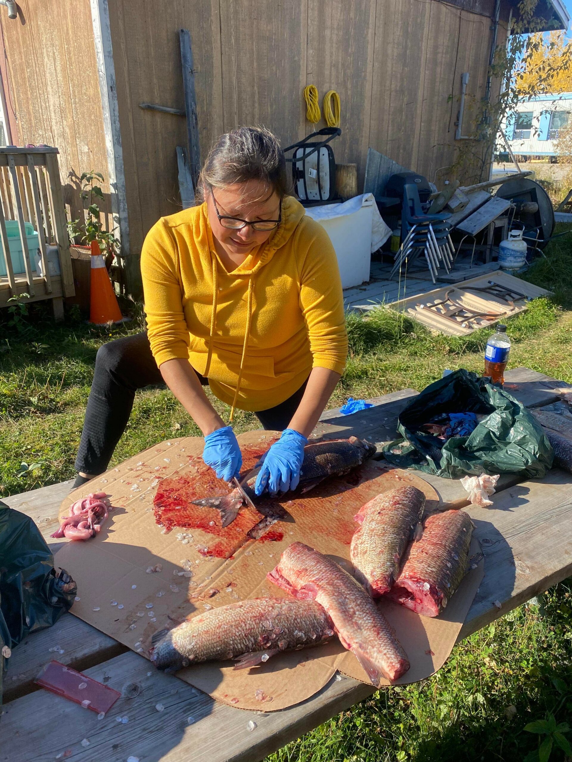 Darlene Beardy cuts and scales fish on wooden table. Program funding helped cover boat gas costs, float plane costs, and food supplies needed for her trip to the Munekun Lake.