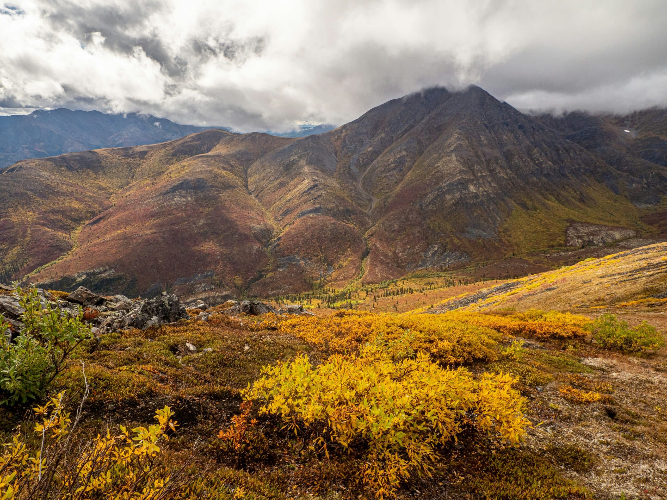 Yukon landscape by Lesly Derksen
