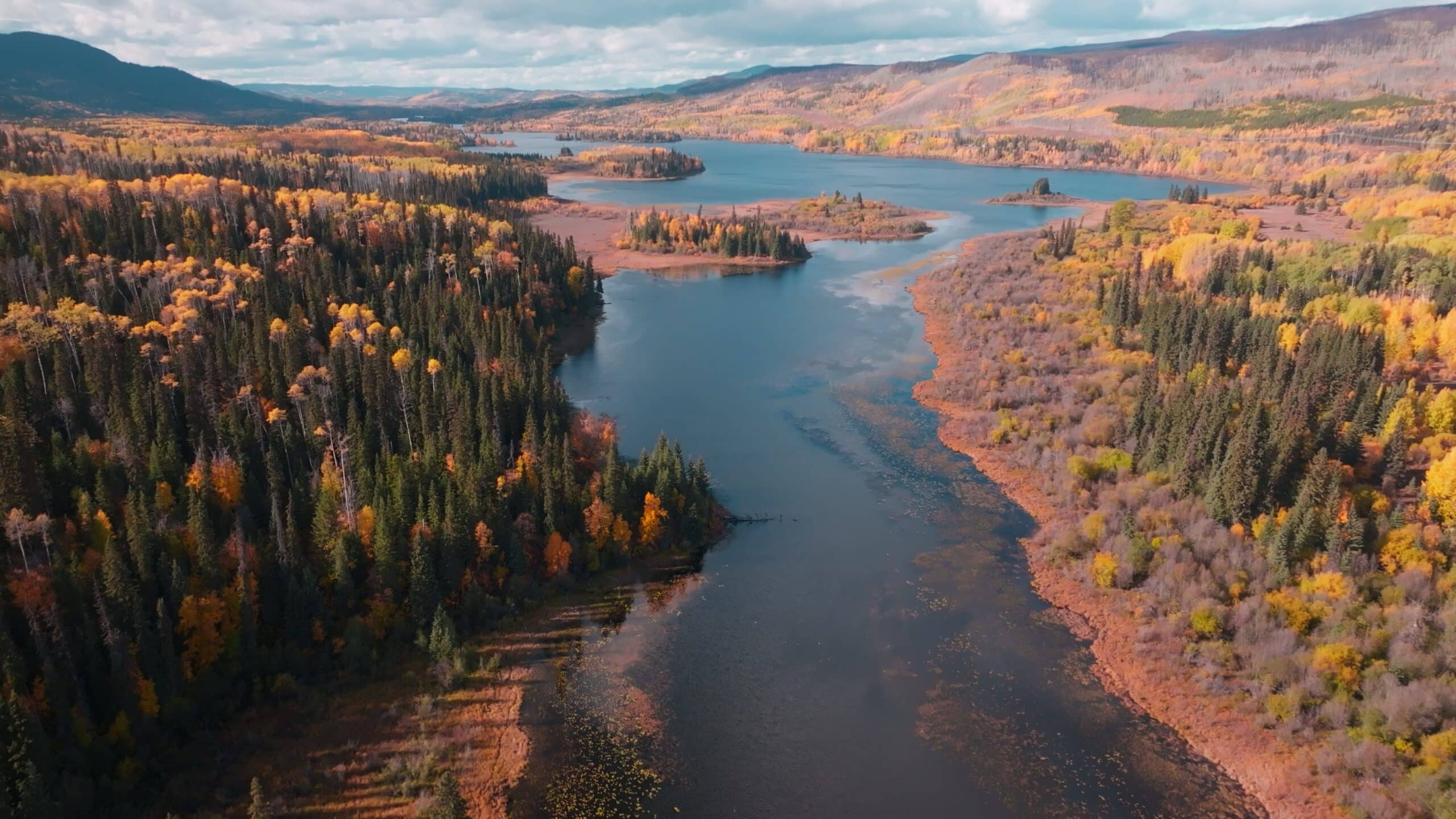 Aerial view of a river surrounded by trees with fall colours.